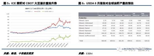 【建投观察】加菜籽产量将降至2012年以来低位