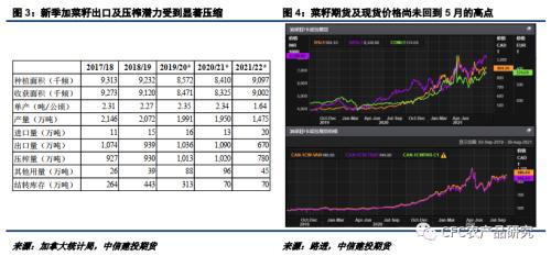 【建投观察】加菜籽产量将降至2012年以来低位