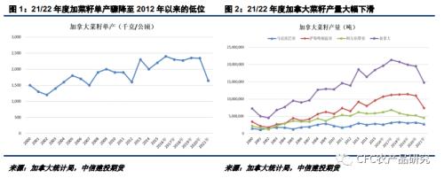 【建投观察】加菜籽产量将降至2012年以来低位